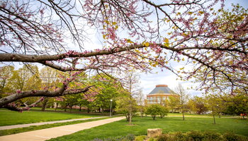 Campus in Spring