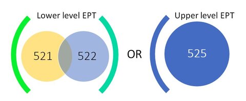 ESL 521 and 522 OR ESL 525