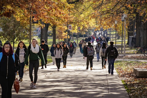 Campus in Fall