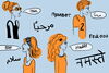 Four students in orange all saying "hello" in various languages, including Spanish, Arabic, Hindi, and German